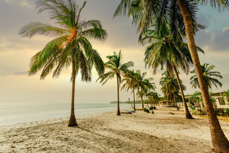 Beach